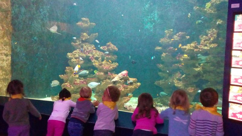 aquarium